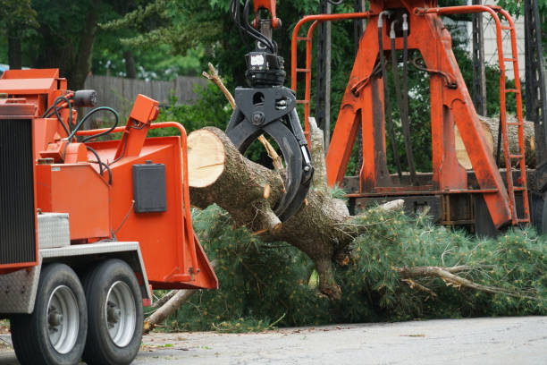 Landscape Design and Installation in West Hurley, NY